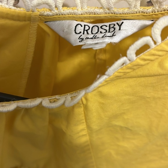 Crosby by Molly Birch - Picture 3 of 3